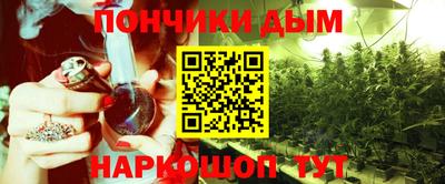 крисы Малгобек