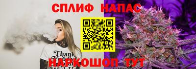 крисы Малгобек