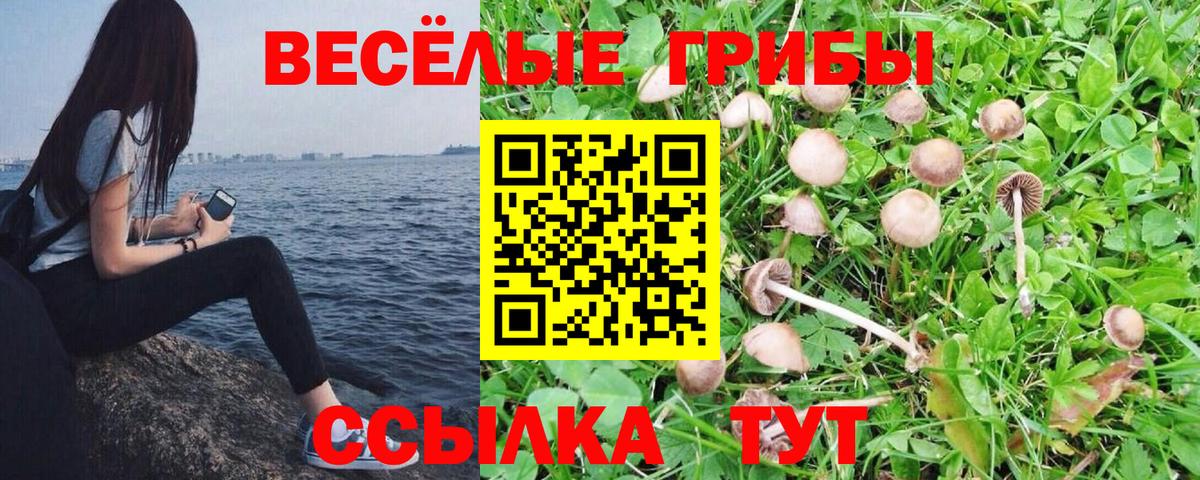 Галлюциногенные грибы прущие грибы Бузулук