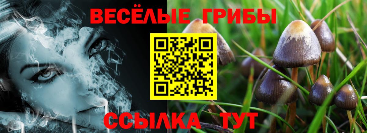 где купить   Вход с VPN  Бузулук  Псилоцибиновые грибы мухоморы 